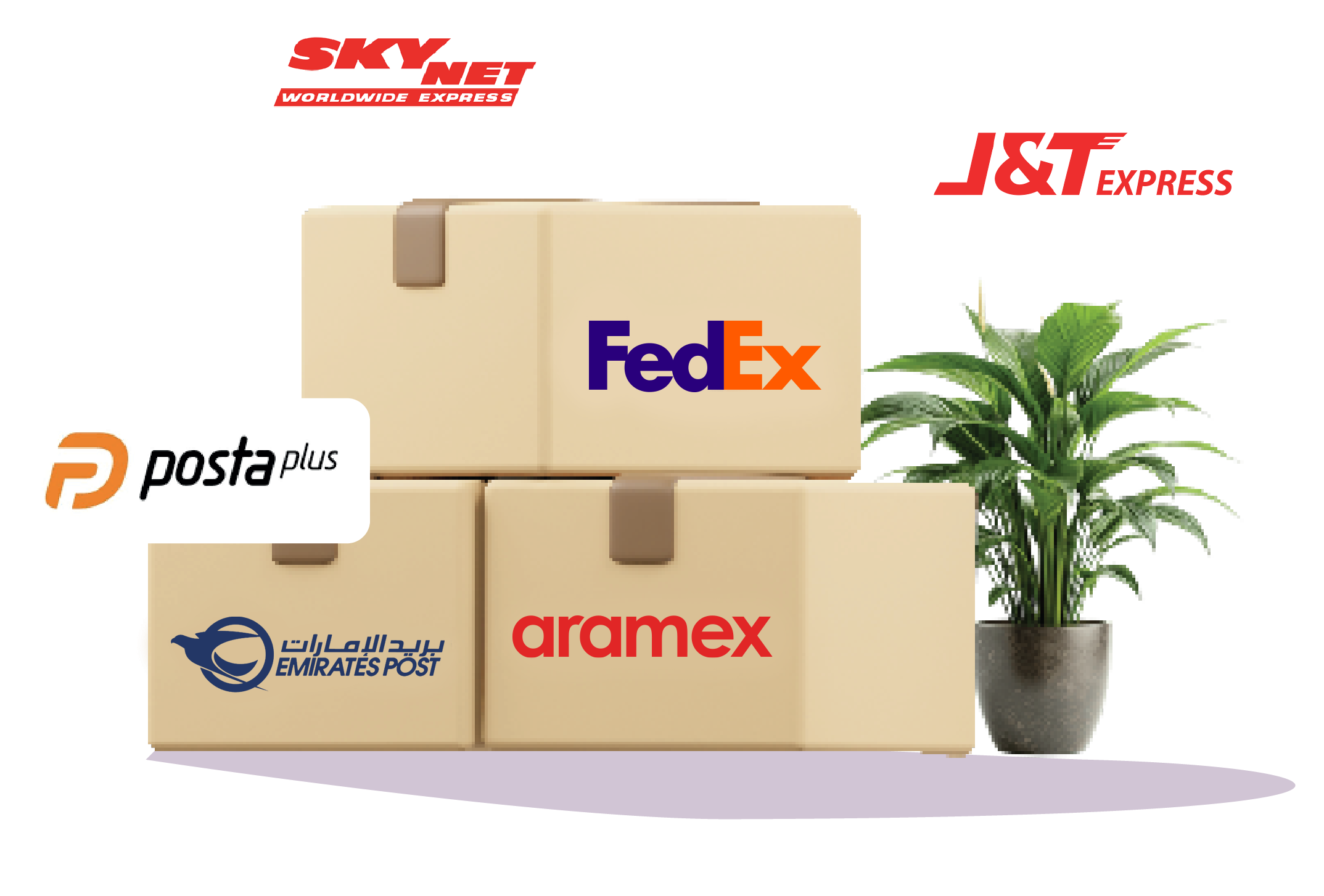 DHL Near Me